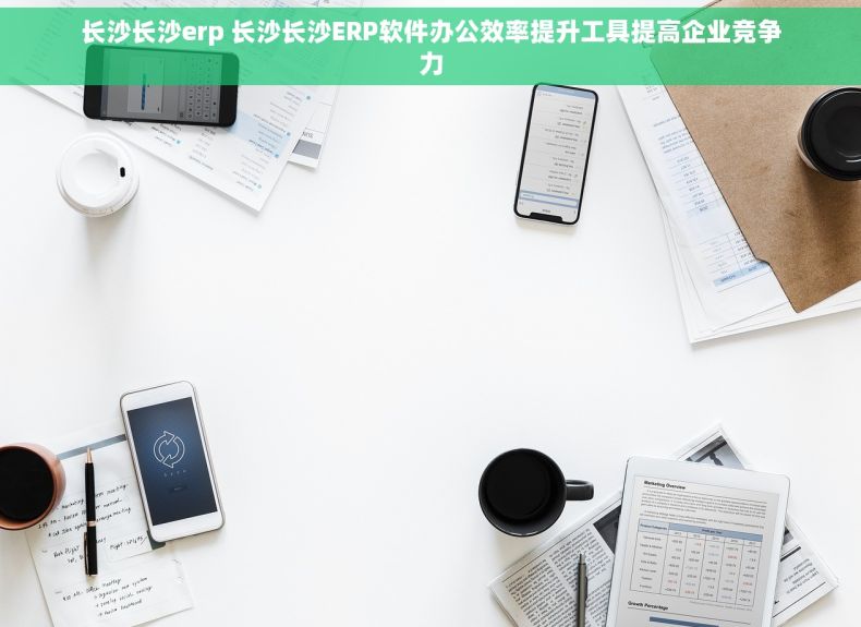 长沙长沙erp 长沙长沙ERP软件办公效率提升工具提高企业竞争力