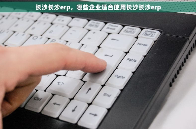 长沙长沙erp，哪些企业适合使用长沙长沙erp