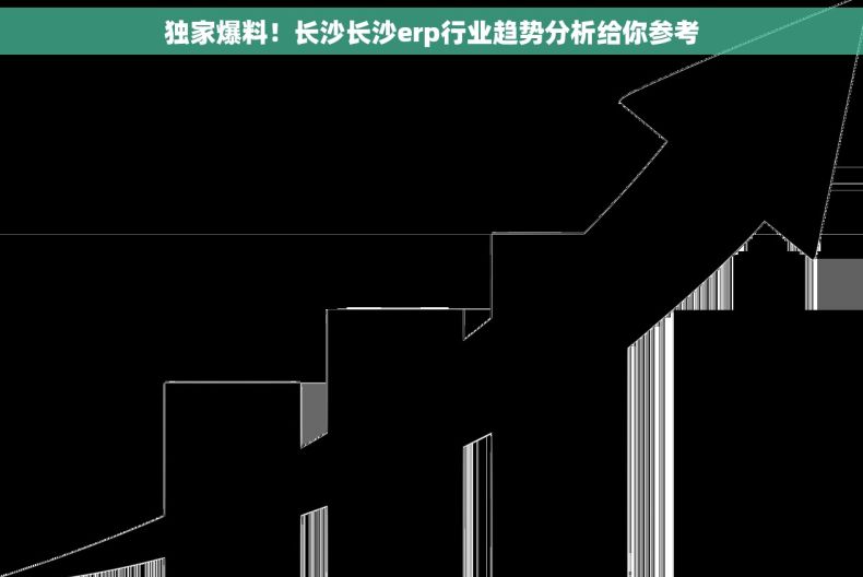 独家爆料！长沙长沙erp行业趋势分析给你参考