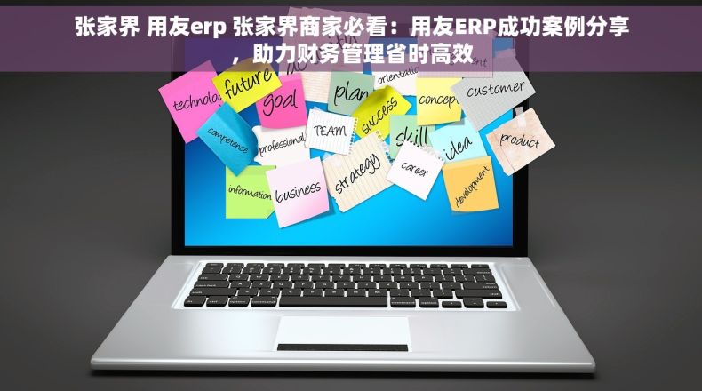 张家界 用友erp 张家界商家必看：用友ERP成功案例分享，助力财务管理省时高效