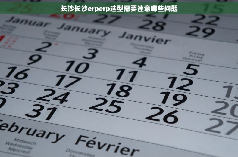 长沙长沙erperp选型需要注意哪些问题