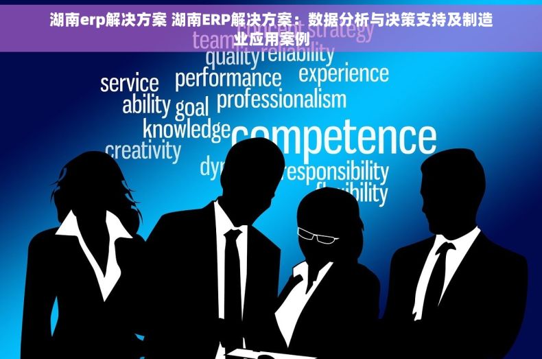 湖南erp解决方案 湖南ERP解决方案：数据分析与决策支持及制造业应用案例