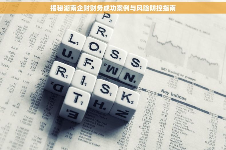 揭秘湖南企财财务成功案例与风险防控指南