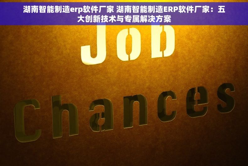 湖南智能制造erp软件厂家 湖南智能制造ERP软件厂家：五大创新技术与专属解决方案
