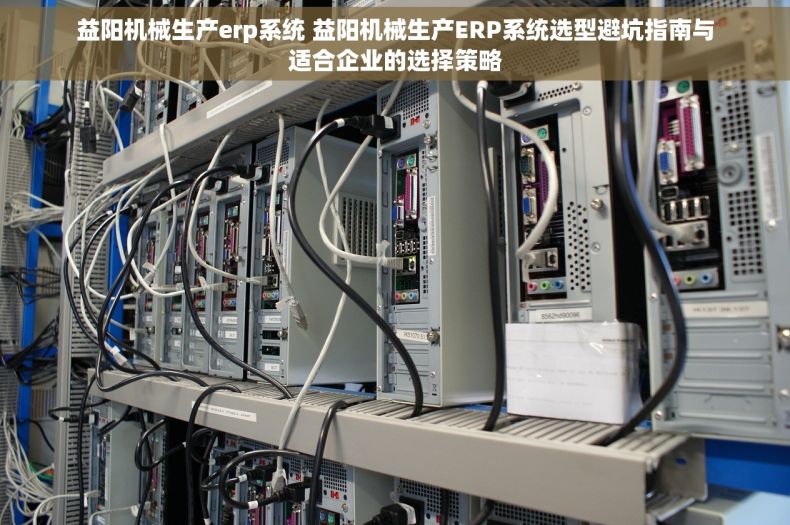 益阳机械生产erp系统 益阳机械生产ERP系统选型避坑指南与适合企业的选择策略