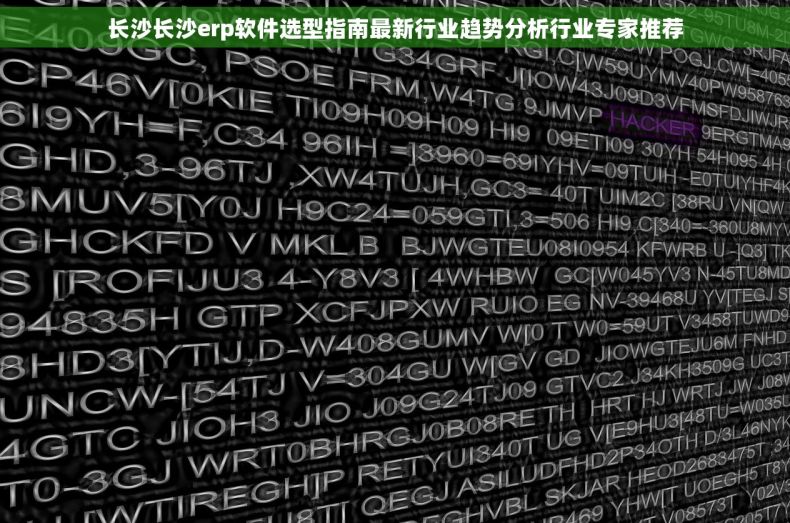 长沙长沙erp软件选型指南最新行业趋势分析行业专家推荐