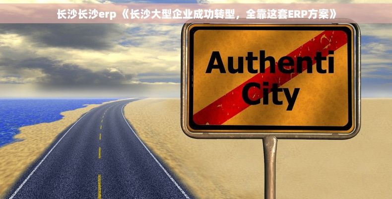 长沙长沙erp 《长沙大型企业成功转型，全靠这套ERP方案》