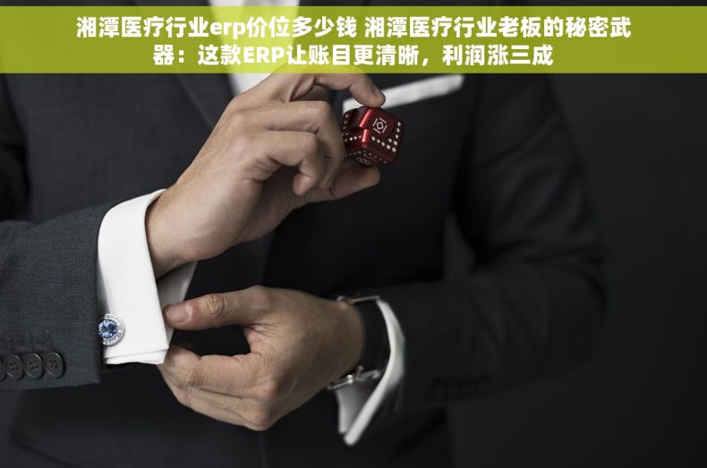 湘潭医疗行业erp价位多少钱 湘潭医疗行业老板的秘密武器：这款ERP让账目更清晰，利润涨三成