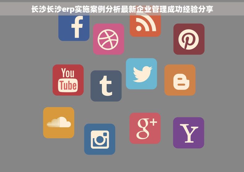 长沙长沙erp实施案例分析最新企业管理成功经验分享