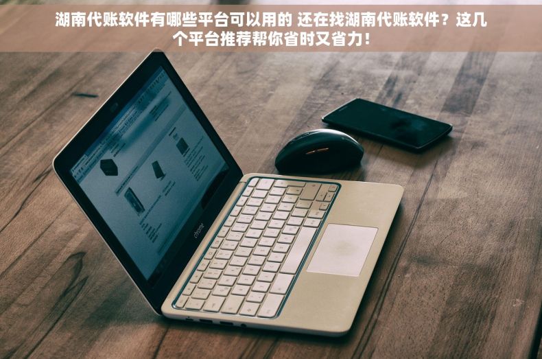 湖南代账软件有哪些平台可以用的 还在找湖南代账软件？这几个平台推荐帮你省时又省力！