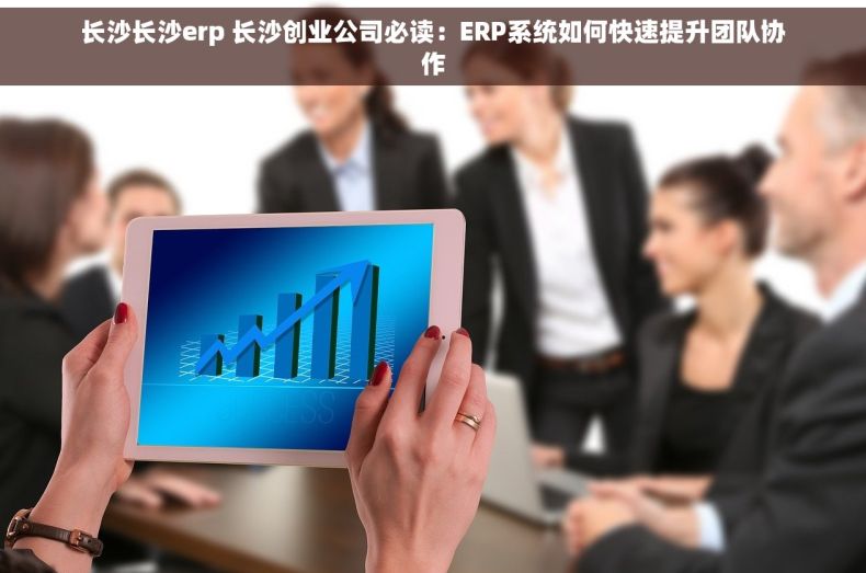 长沙长沙erp 长沙创业公司必读：ERP系统如何快速提升团队协作