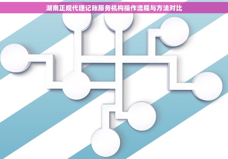 湖南正规代理记账服务机构操作流程与方法对比