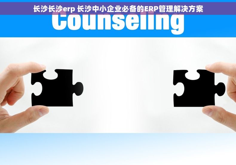 长沙长沙erp 长沙中小企业必备的ERP管理解决方案