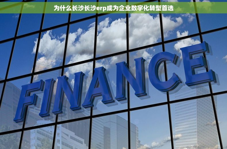 为什么长沙长沙erp成为企业数字化转型首选