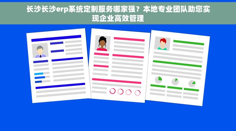 长沙长沙erp系统定制服务哪家强？本地专业团队助您实现企业高效管理