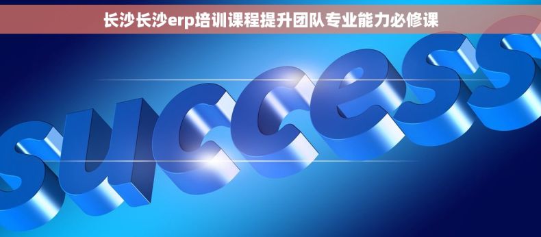 长沙长沙erp培训课程提升团队专业能力必修课