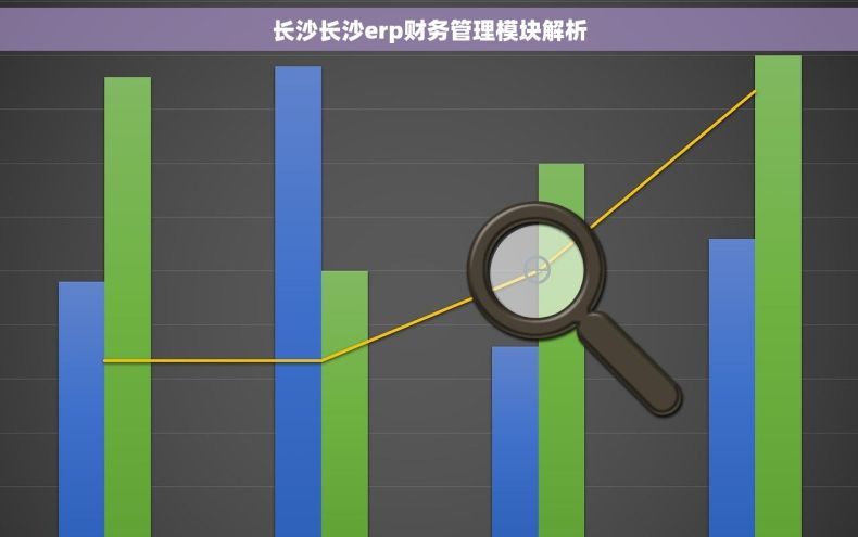长沙长沙erp财务管理模块解析