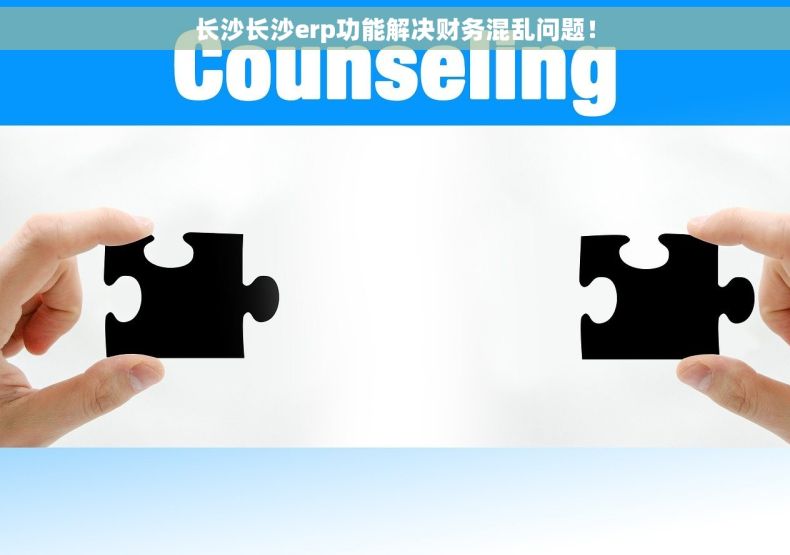 长沙长沙erp功能解决财务混乱问题！