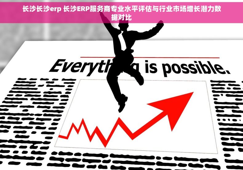 长沙长沙erp 长沙ERP服务商专业水平评估与行业市场增长潜力数据对比