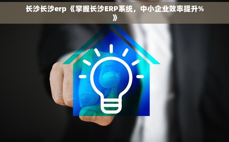 长沙长沙erp 《掌握长沙ERP系统，中小企业效率提升%》