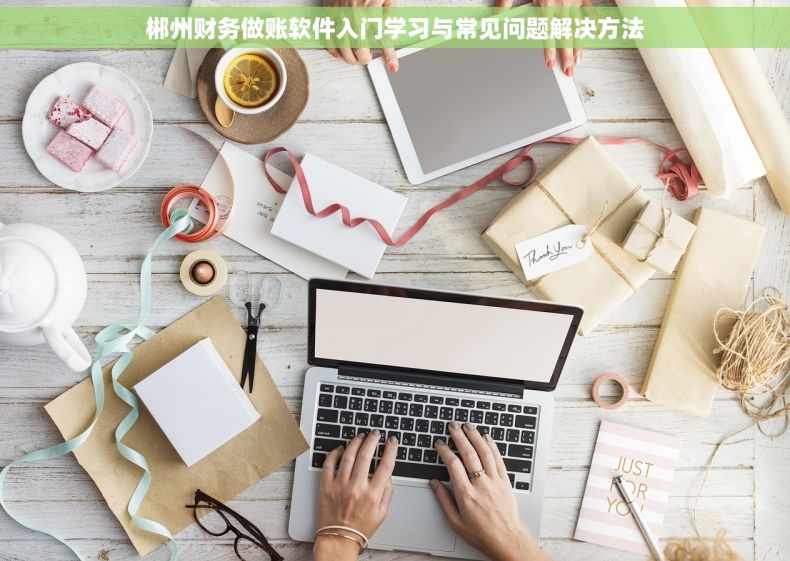 郴州财务做账软件入门学习与常见问题解决方法