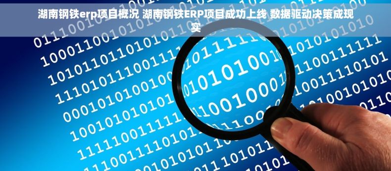 湖南钢铁erp项目概况 湖南钢铁ERP项目成功上线 数据驱动决策成现实