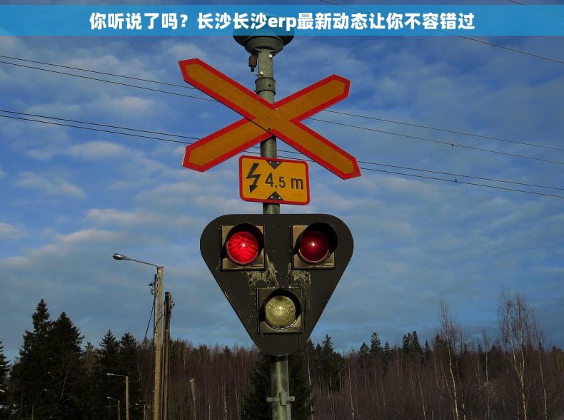 你听说了吗？长沙长沙erp最新动态让你不容错过