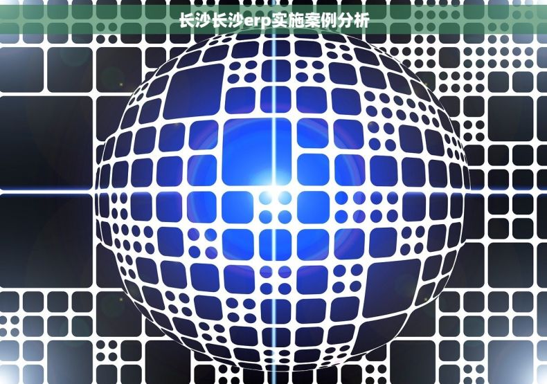 长沙长沙erp实施案例分析