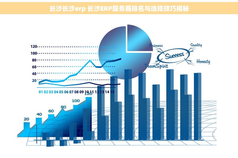 长沙长沙erp 长沙ERP服务商排名与选择技巧揭秘