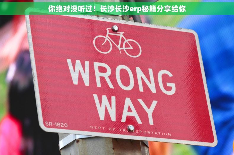 你绝对没听过！长沙长沙erp秘籍分享给你