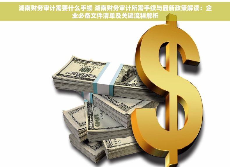 湖南财务审计需要什么手续 湖南财务审计所需手续与最新政策解读：企业必备文件清单及关键流程解析