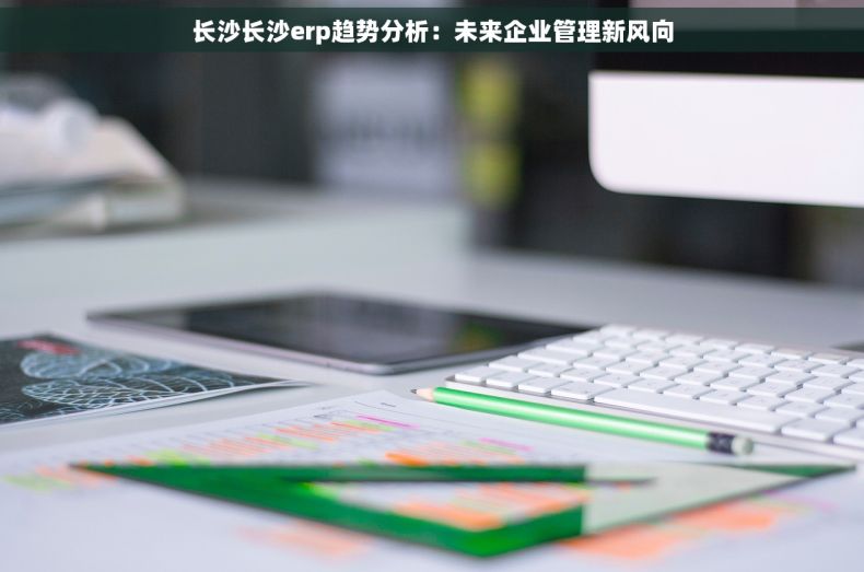 长沙长沙erp趋势分析：未来企业管理新风向