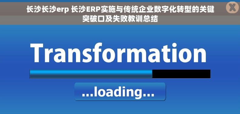 长沙长沙erp 长沙ERP实施与传统企业数字化转型的关键突破口及失败教训总结