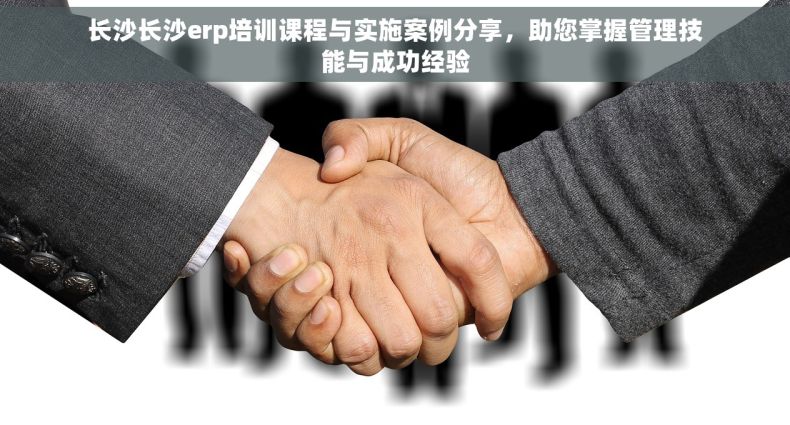 长沙长沙erp培训课程与实施案例分享，助您掌握管理技能与成功经验
