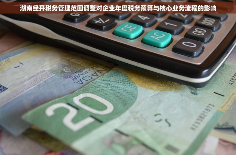 湖南经开税务管理范围调整对企业年度税务预算与核心业务流程的影响