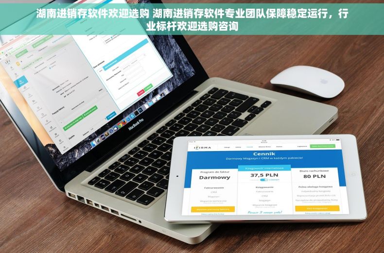 湖南进销存软件欢迎选购 湖南进销存软件专业团队保障稳定运行，行业标杆欢迎选购咨询