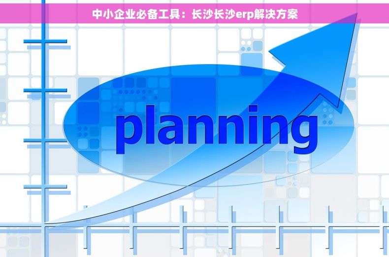 中小企业必备工具：长沙长沙erp解决方案
