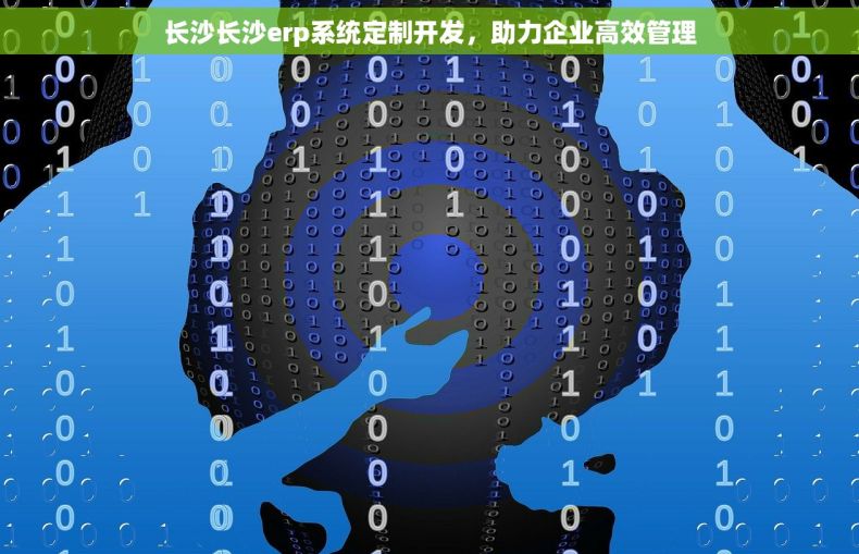 长沙长沙erp系统定制开发，助力企业高效管理