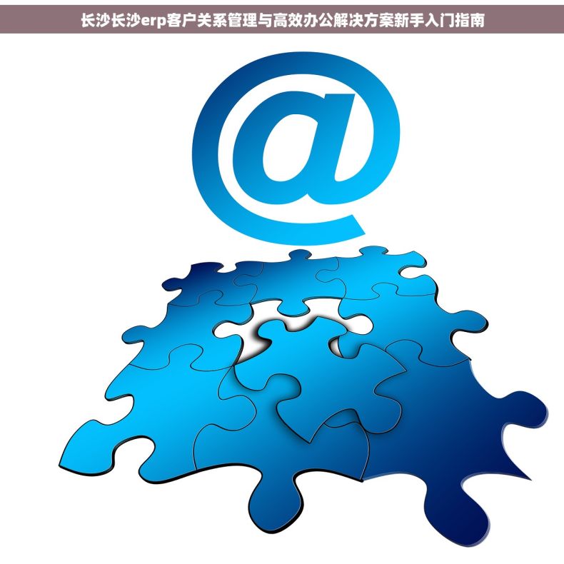 长沙长沙erp客户关系管理与高效办公解决方案新手入门指南