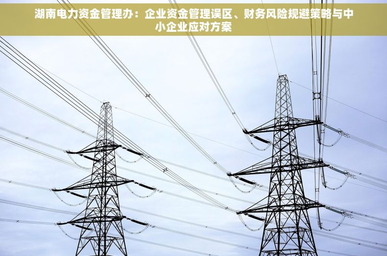 湖南电力资金管理办：企业资金管理误区、财务风险规避策略与中小企业应对方案