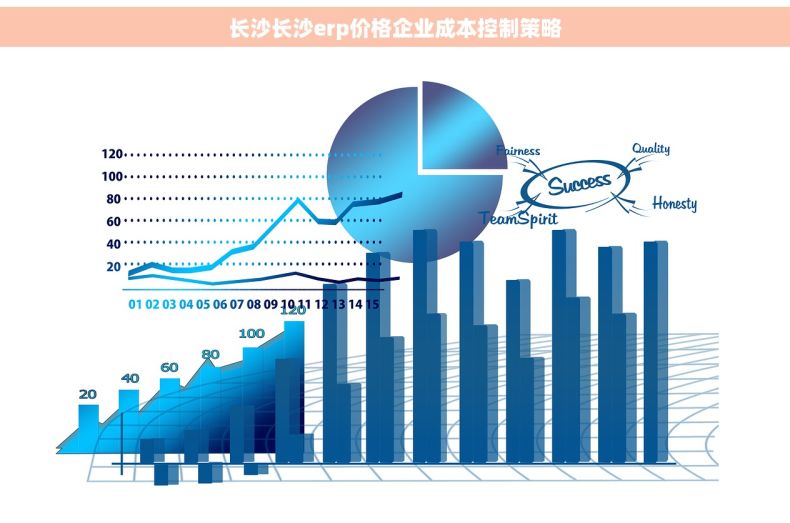 长沙长沙erp价格企业成本控制策略