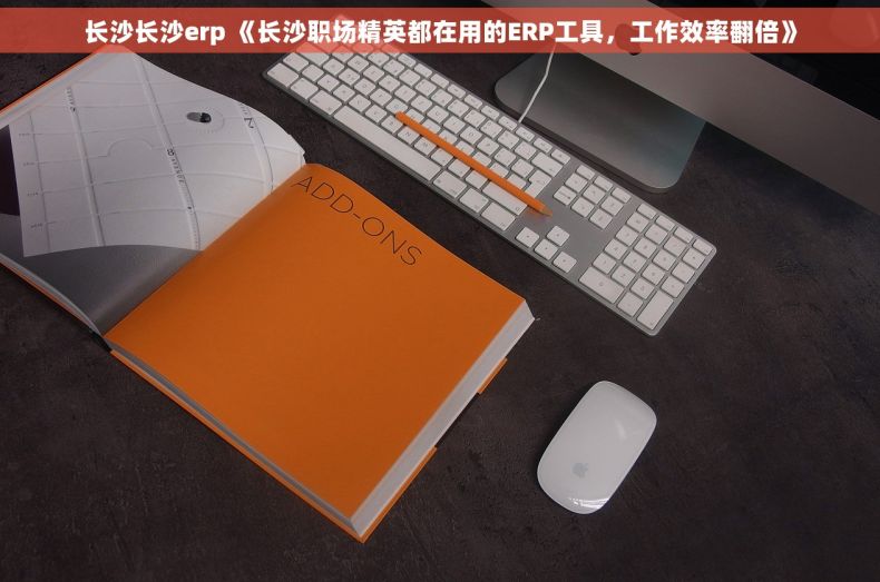 长沙长沙erp 《长沙职场精英都在用的ERP工具，工作效率翻倍》