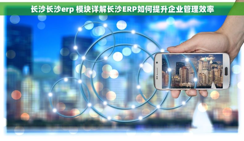 长沙长沙erp 模块详解长沙ERP如何提升企业管理效率