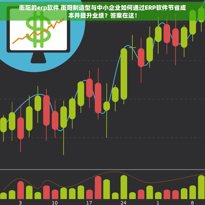 衡阳的erp软件 衡阳制造型与中小企业如何通过ERP软件节省成本并提升业绩？答案在这！