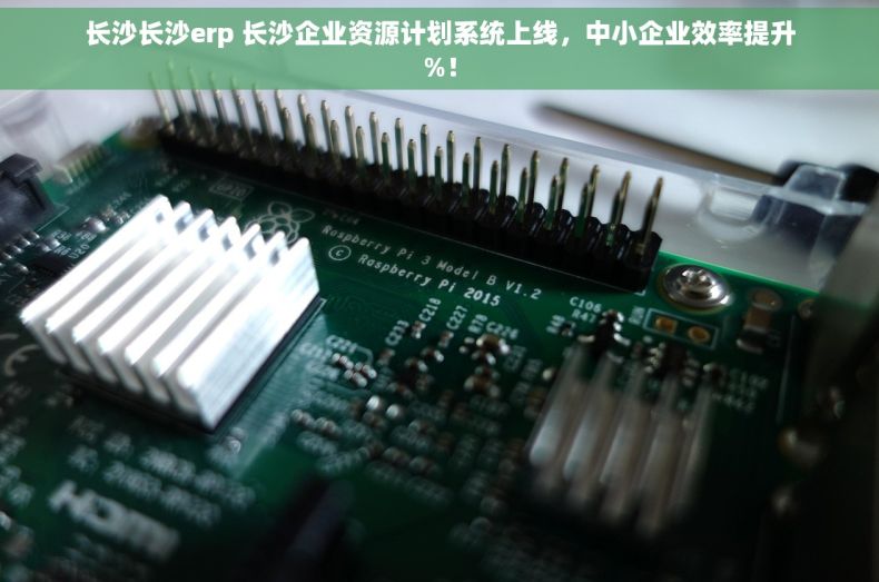 长沙长沙erp 长沙企业资源计划系统上线，中小企业效率提升%！