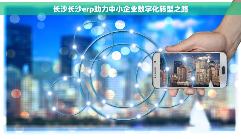 长沙长沙erp助力中小企业数字化转型之路