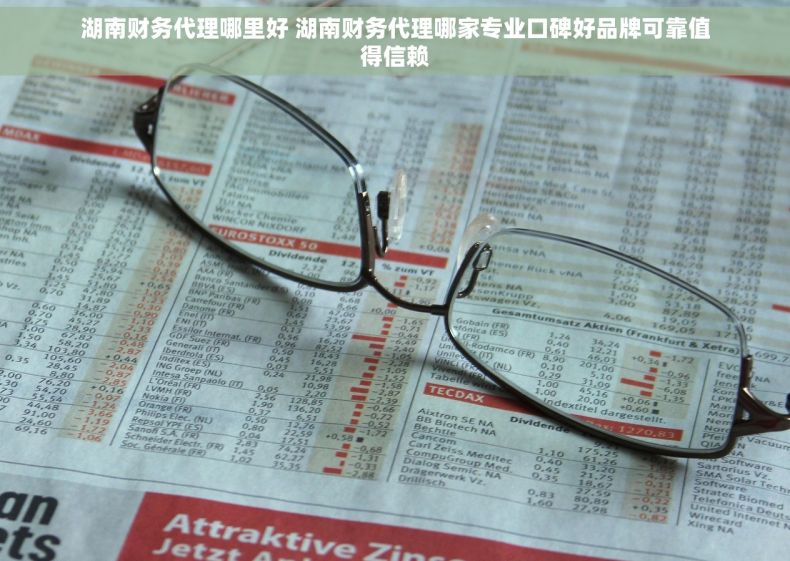湖南财务代理哪里好 湖南财务代理哪家专业口碑好品牌可靠值得信赖