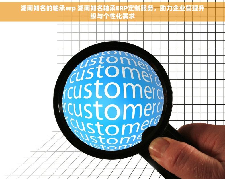 湖南知名的轴承erp 湖南知名轴承ERP定制服务，助力企业管理升级与个性化需求