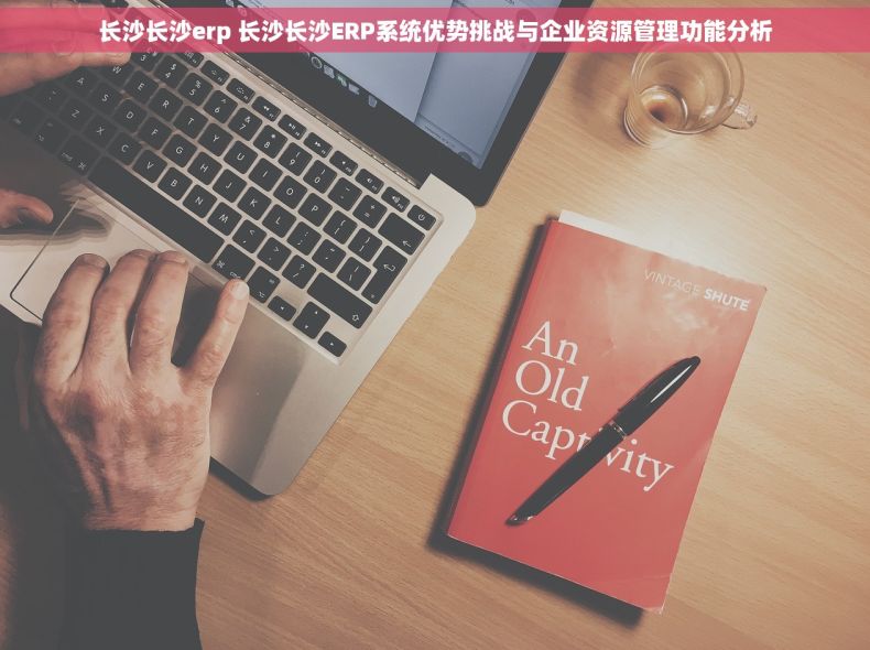 长沙长沙erp 长沙长沙ERP系统优势挑战与企业资源管理功能分析
