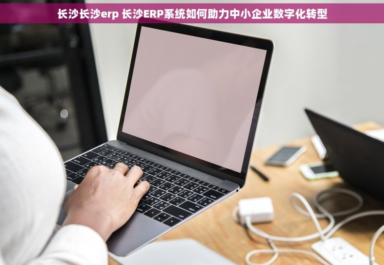 长沙长沙erp 长沙ERP系统如何助力中小企业数字化转型